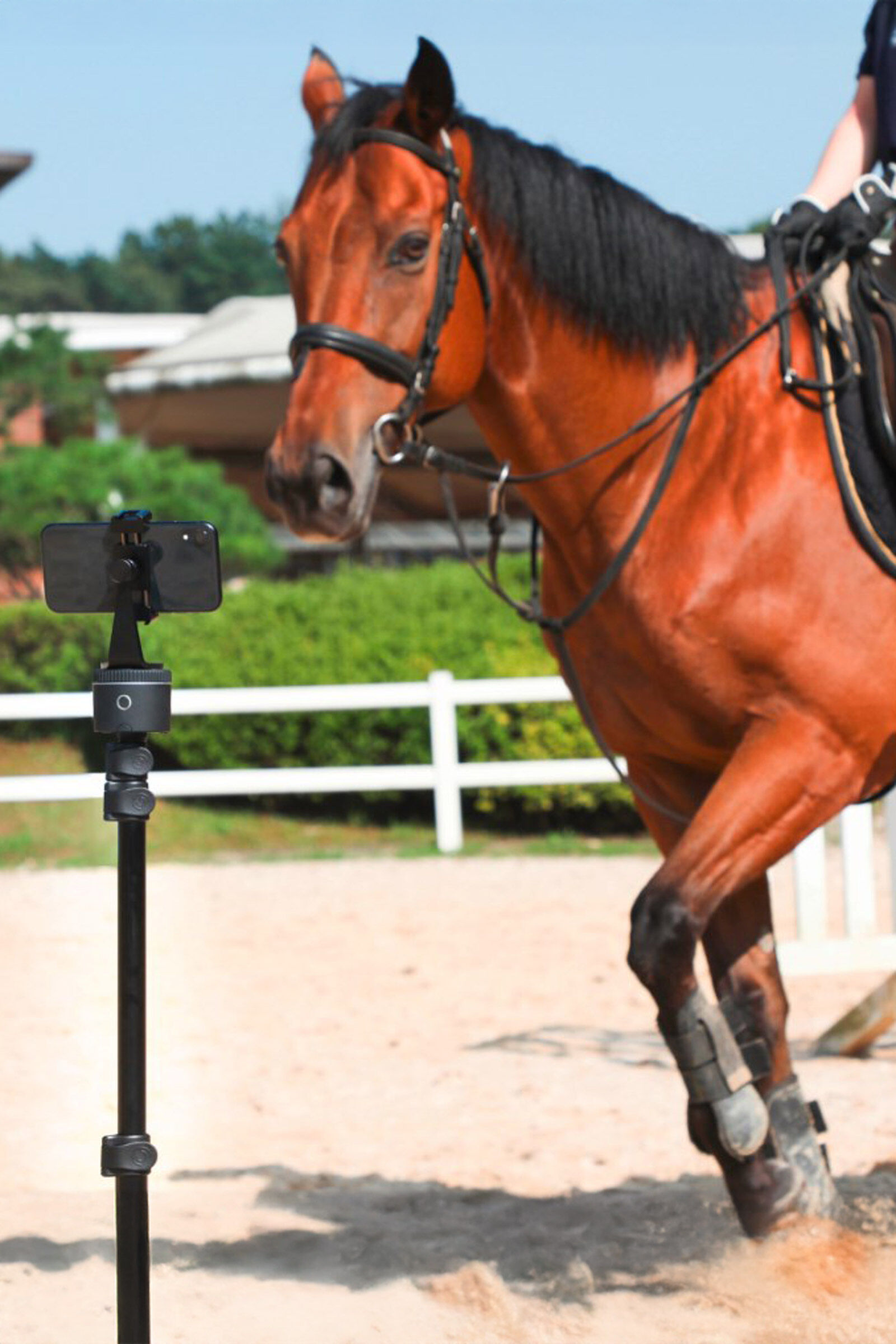 その他 Pivo Pod Buy Pivo Pod Silver Essential Set | horze.com