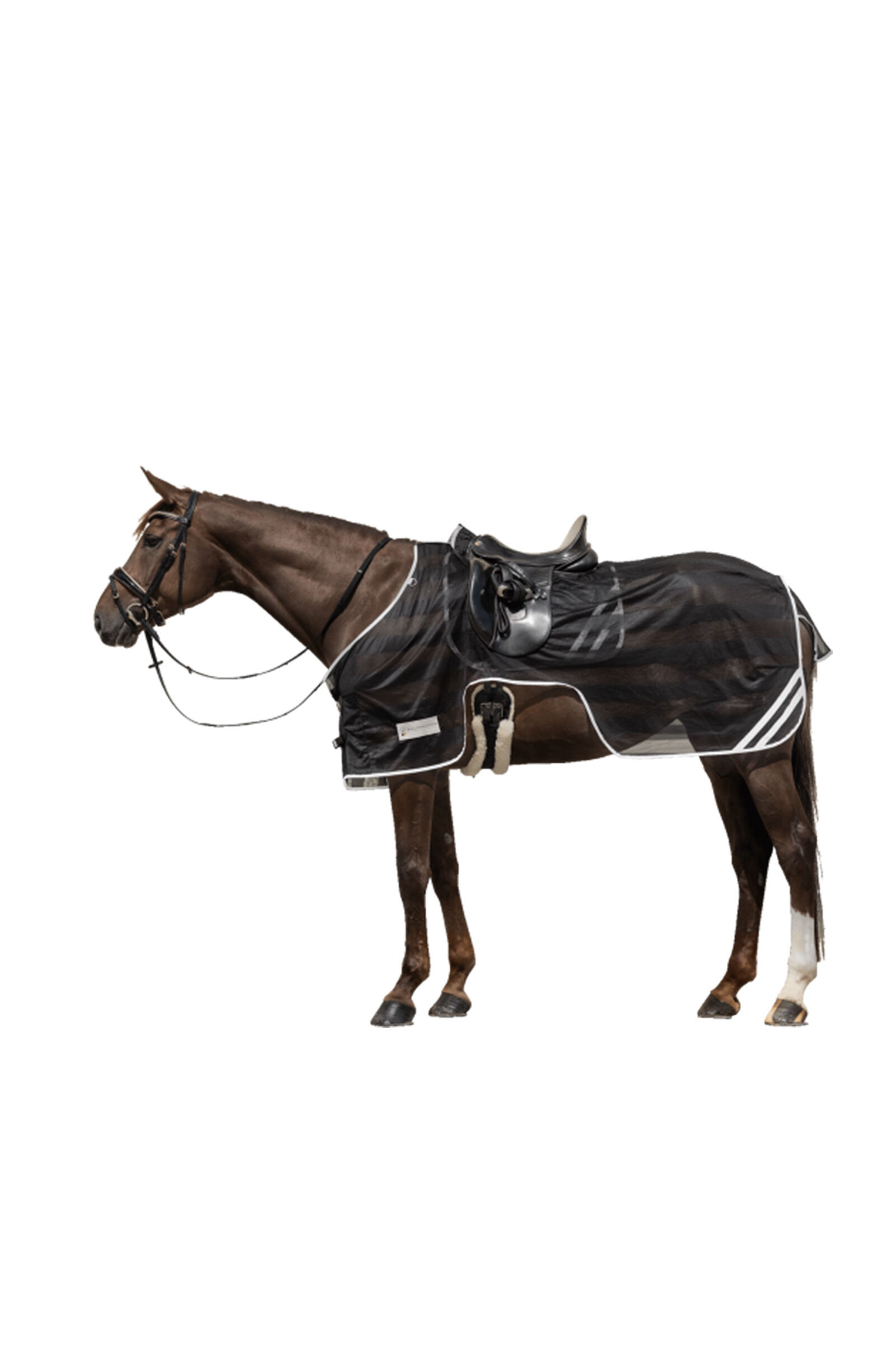 Exercise Sheets for Horses Riding Rugs horze