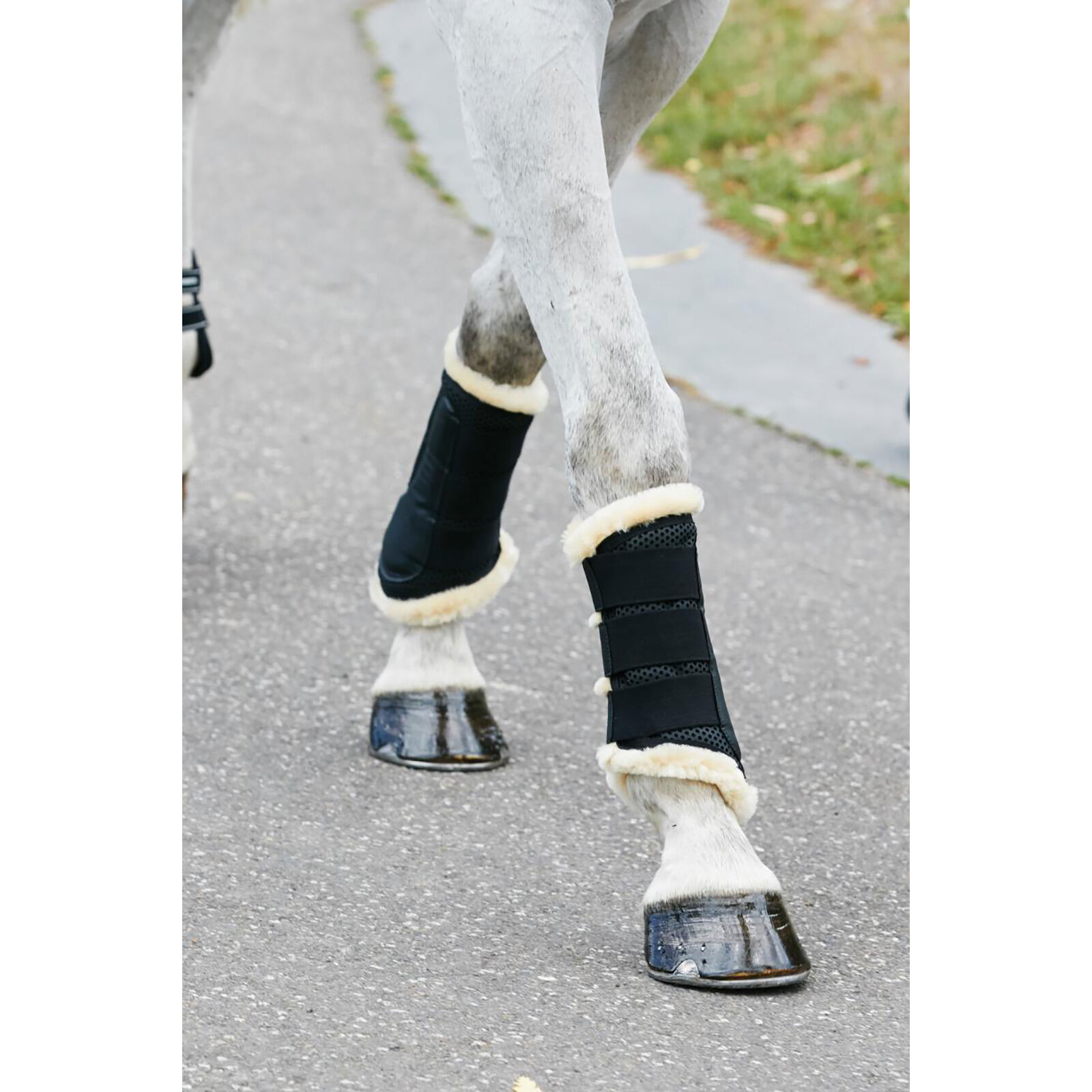 Weatherbeeta shop brushing boots