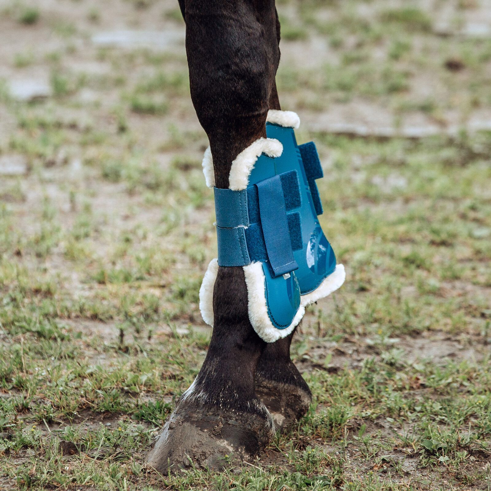 Boots for tendon outlet injuries in horses