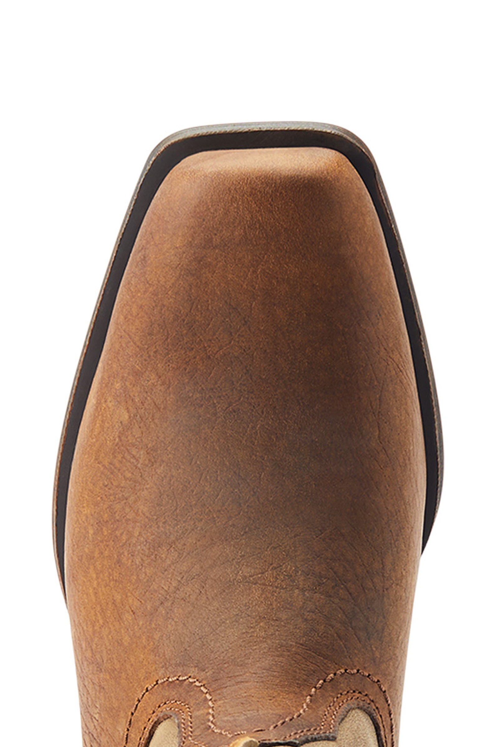 ariat rambler women's boots