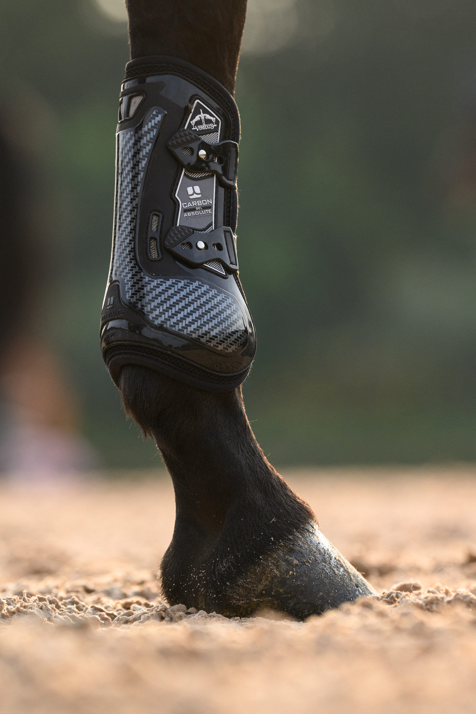 Veredus hind boots outlet