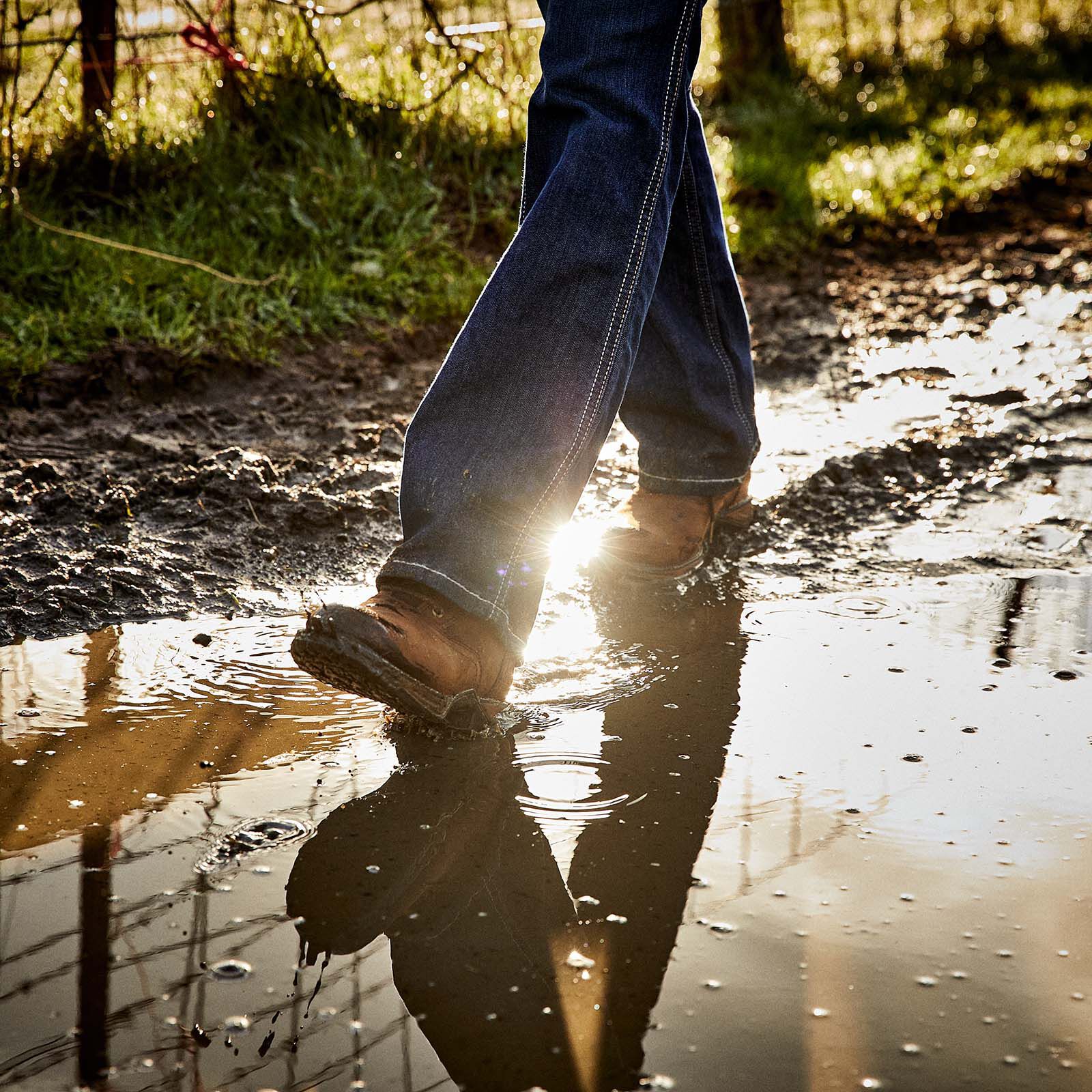 Ariat anthem 2025