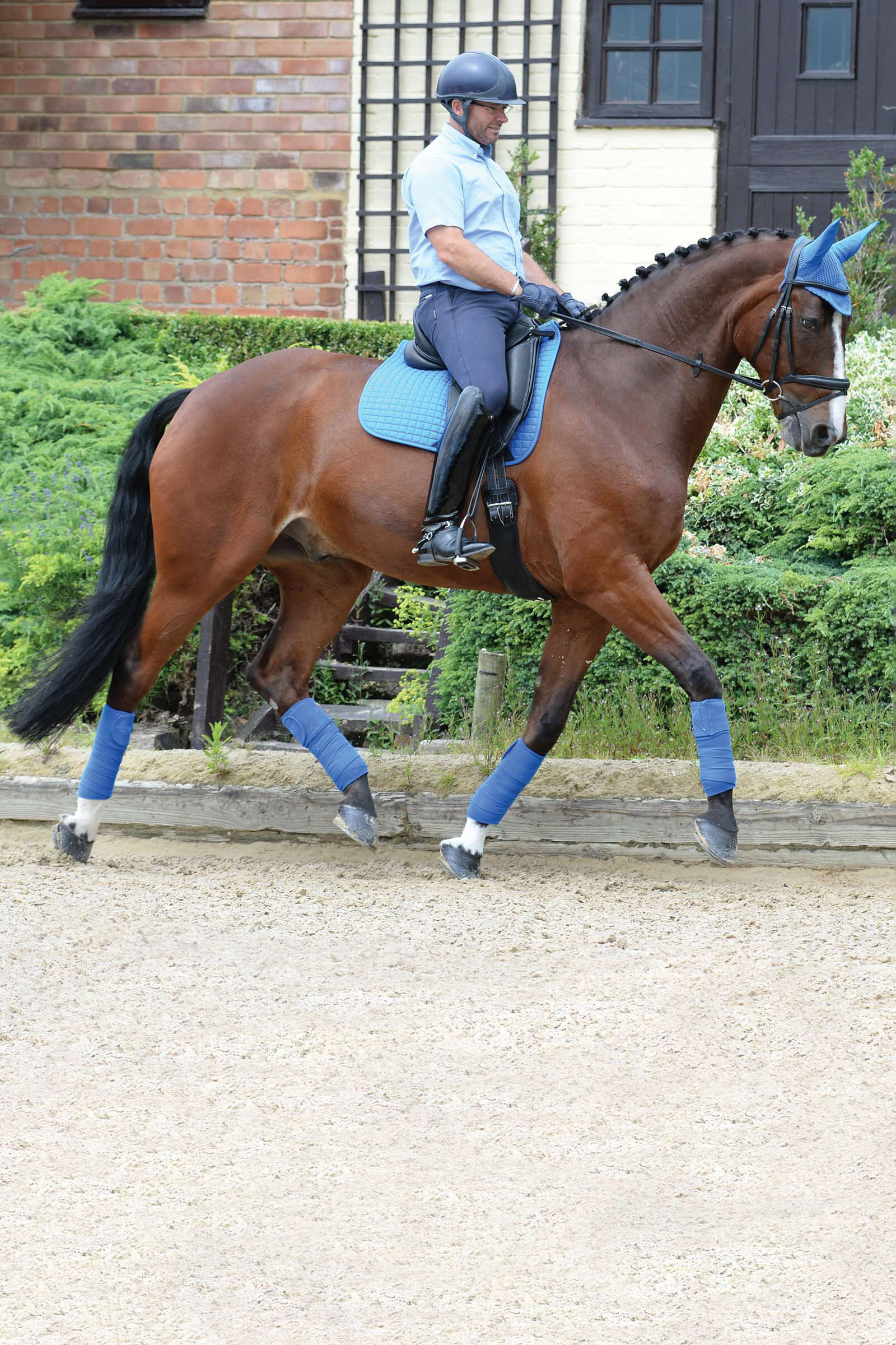 Buy Weatherbeeta Prime Dressage Saddle Pad horze