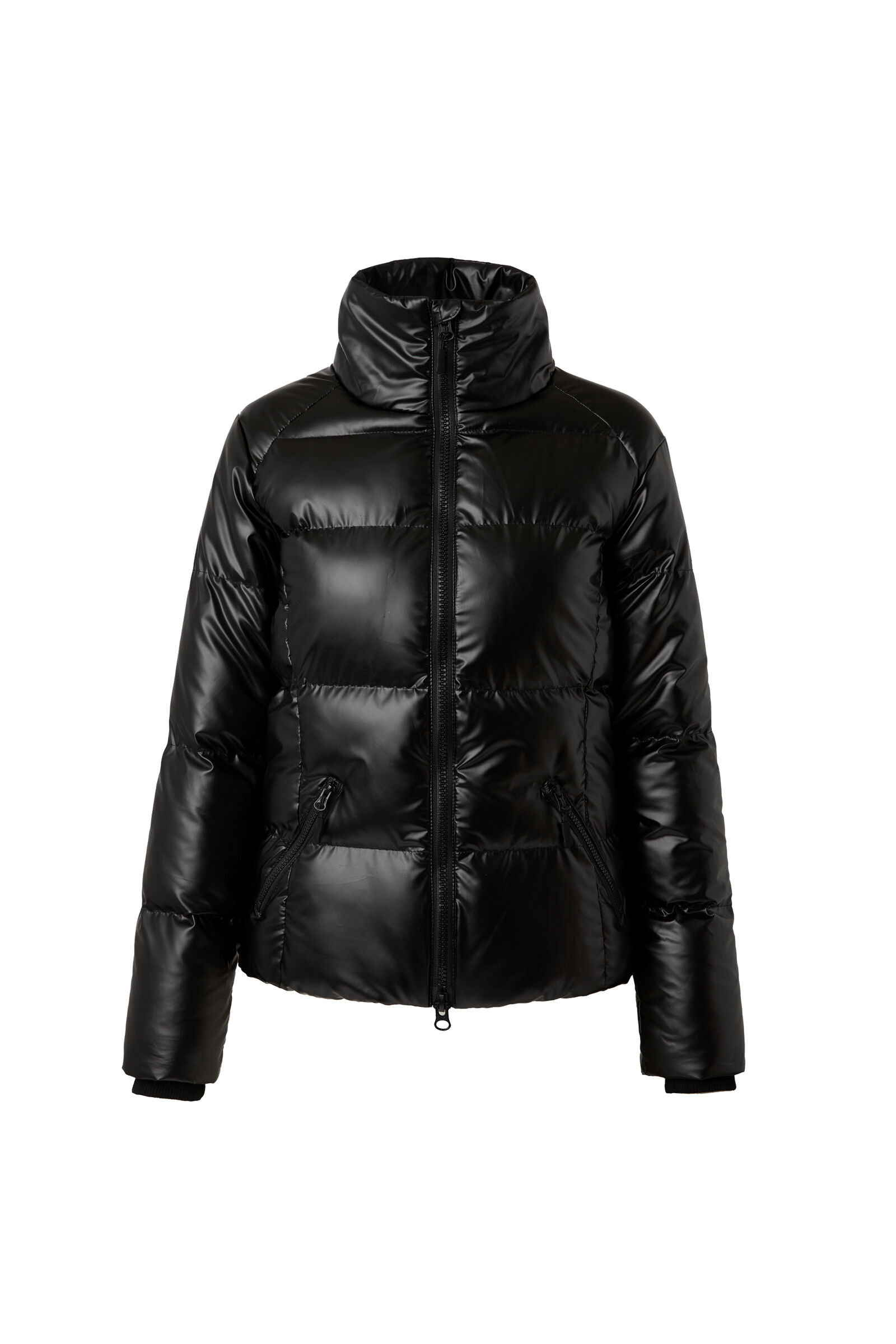 Buy Horze Rianna Women s Shiny Padded Riding Jacket horze